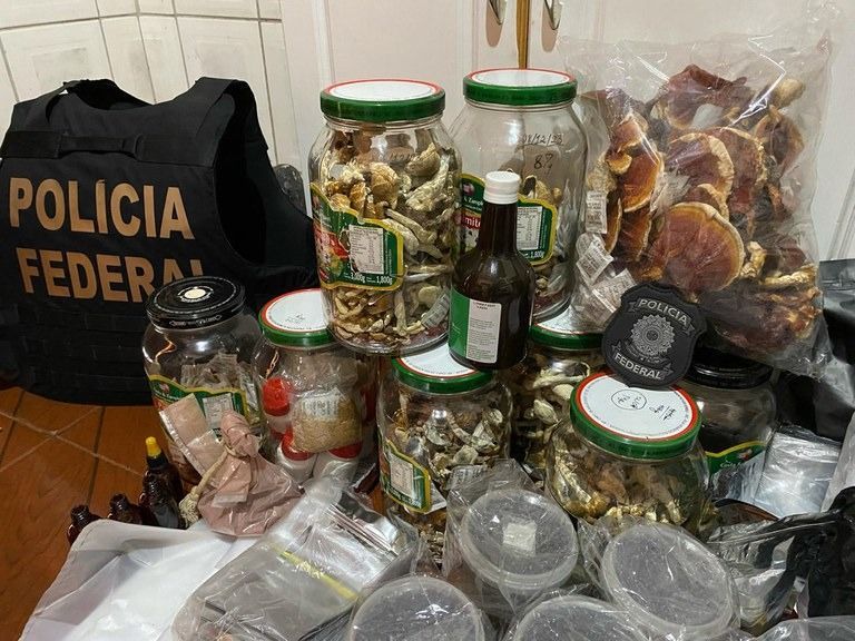 pf-faz-operacao-contra-venda-de-cogumelos-alucinogenos-pela-internet